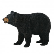COLLECTA  Amerikas melnais lācis (L), 88698