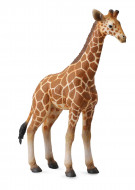 Collecta Žirafes mazulis 88535