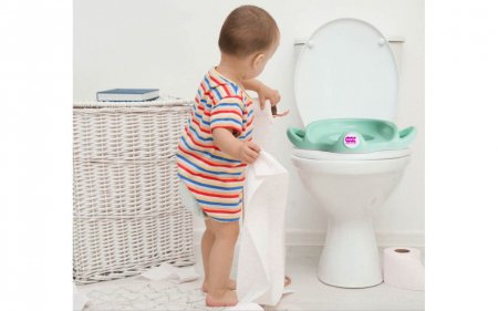 OKBABY tualetes mācību poda virsma SOFA, green, 39261200 39261200