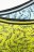 COCCODRILLO biksītes PANTS, multicoloured, 164/170 cm, 2 gab., WC2409501PAN-022 WC2409501PAN-022-152