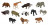COLLECTA savvaļas dzīvnieku komplekts Mini, A1105 A1105