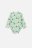 COCCODRILLO bodijs ar garām piedurknēm NATURE NEWBORN, piparmētru krāsa, WC4112101NAN-031-0 